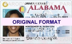 Illinois Scannable Fake ID's