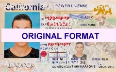 Georgia Scannable Fake ID's