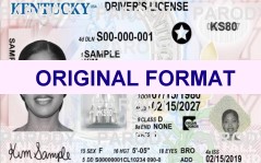 MaineScannable Fake ID's
